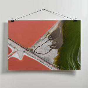 Art Prints of Nature's painting