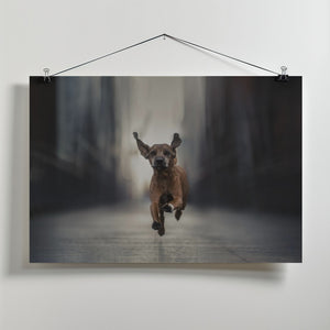 Art Prints of Run like the Wind (Vol. II)