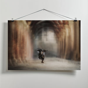 Art Prints of "He who leaps for the sky may fall, it's true. But he may also fly.” ― Lauren Oliver