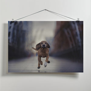 Art Prints of "Limits, like fear, is often an Illusion" (Michael Jordan)