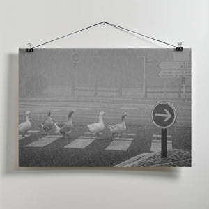 Art Prints of pedestrians
