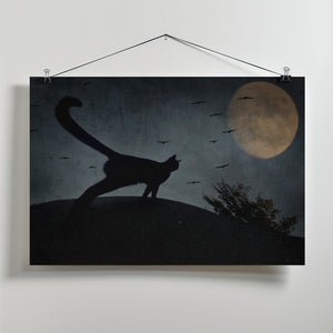 Art Prints of the curious tail of the cat filemon...