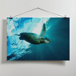 Art Prints of Into the light