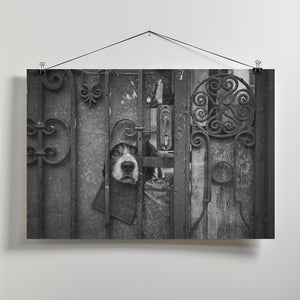 Art Prints of Wise Guy