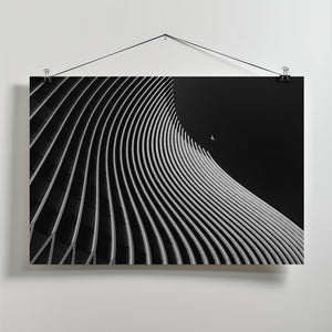 Art Prints of Flight moment