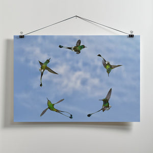Art Prints of Joy of Flight