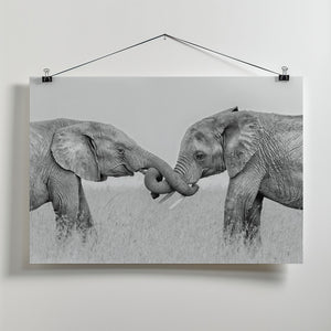 Art Prints of Confrontation