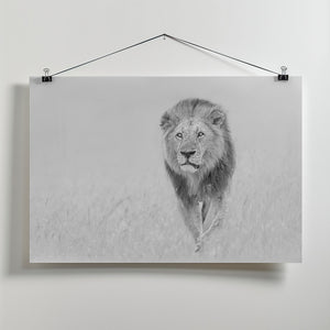 Art Prints of The King of The Prairie