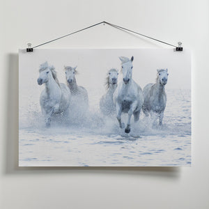 Art Prints of Horses on the Run