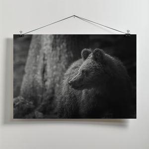 Art Prints of Last light