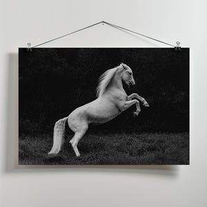 Art Prints of a short story of a blade of grass in a hoof