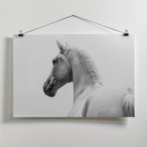 Art Prints of a short story about a shorn horse