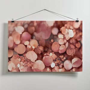 Art Prints of Rosy Sparkles