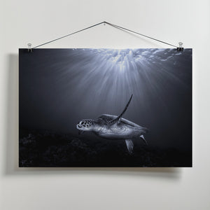 Canvas Art Print The deep
