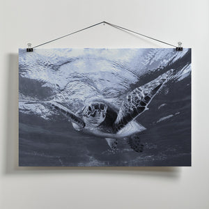 Canvas Art Print Chroma