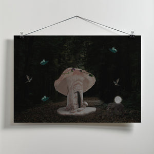 Art Prints of Mushroom