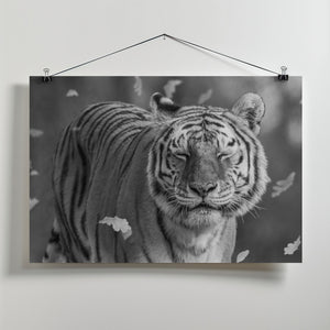 Canvas Art Print Tiger in The Motion