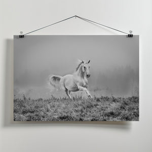 Canvas Art Print a short story about gallop