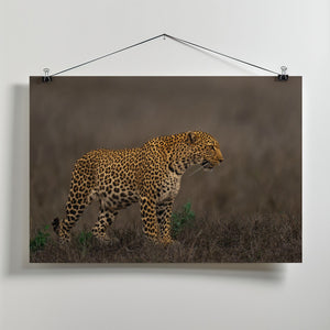 Canvas Art Print Towards Right