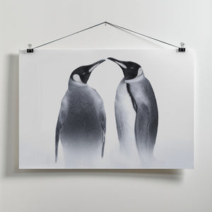 Canvas Art Print we are King penguin