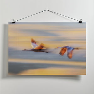 Canvas Art Print Duet