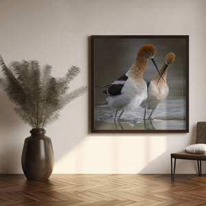 Art Prints of Love crossing ...