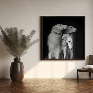 Art Prints of 3 of a kind