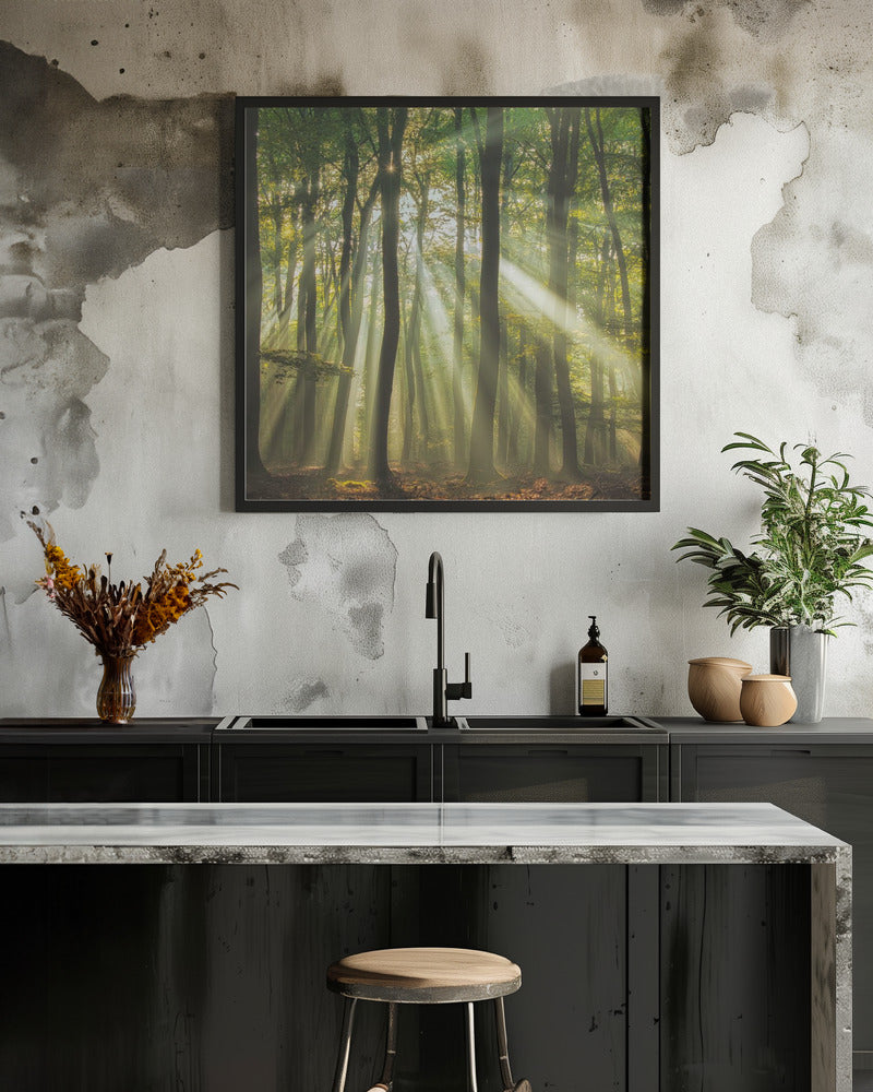 Sunny start to the day ........