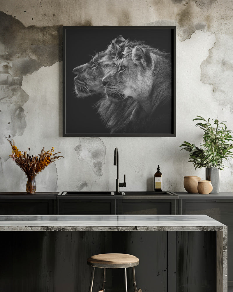 Lion and lioness portrait