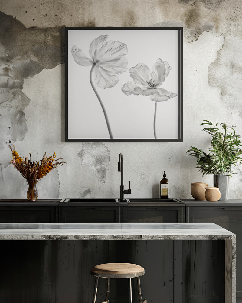 Same tulip : front- and backview