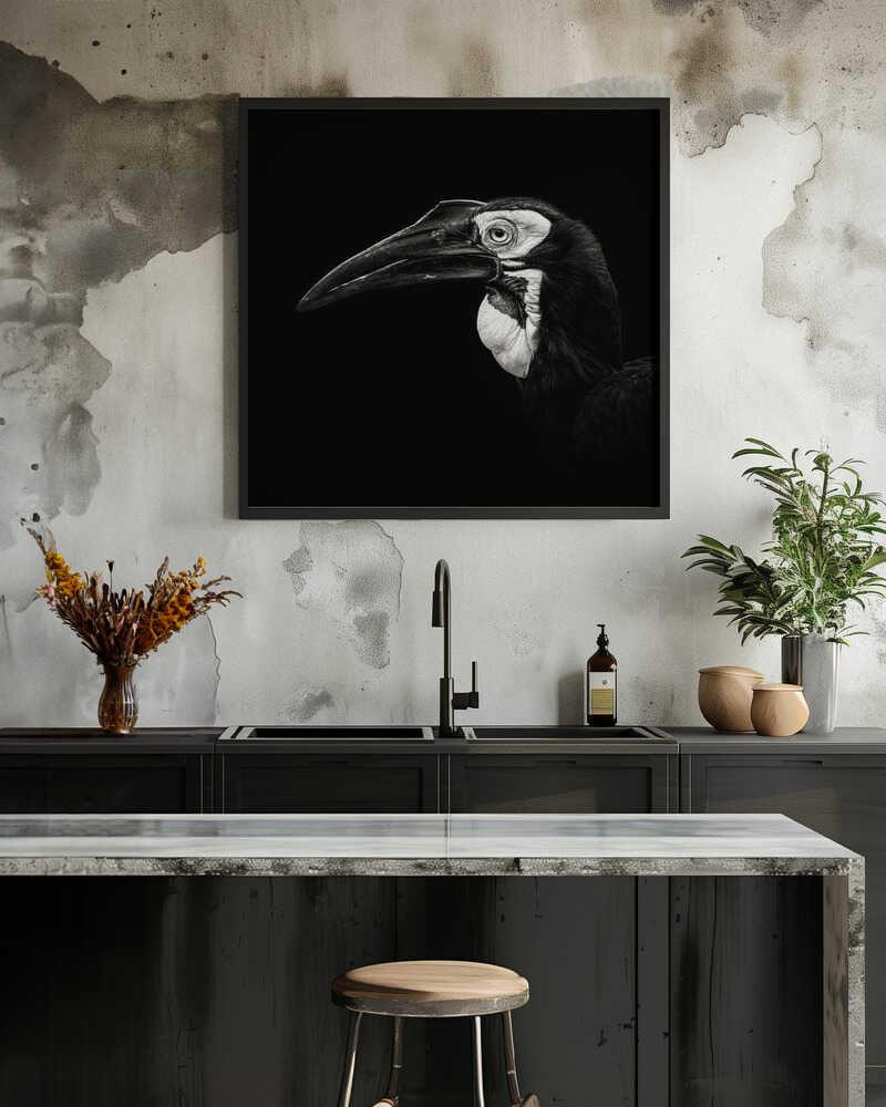 Southern Ground Hornbill