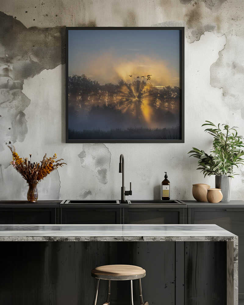 the Netherlands in the early morning