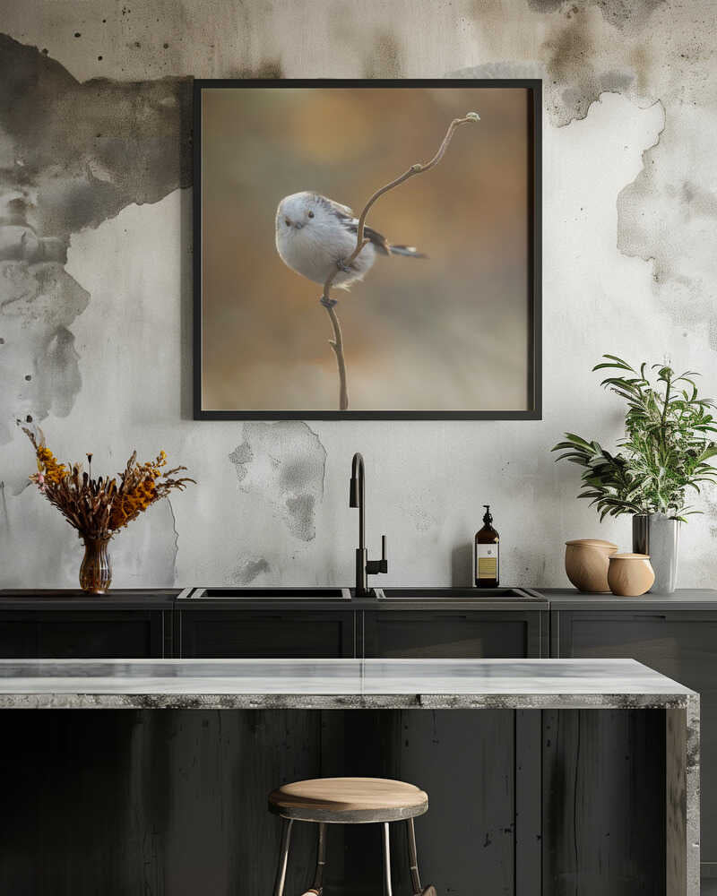 a rare bird in our garden