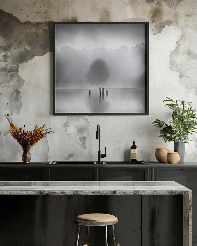 Cormorants in the mist