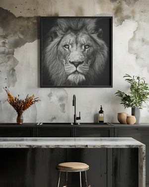 Art Prints of Stare Me Down #3