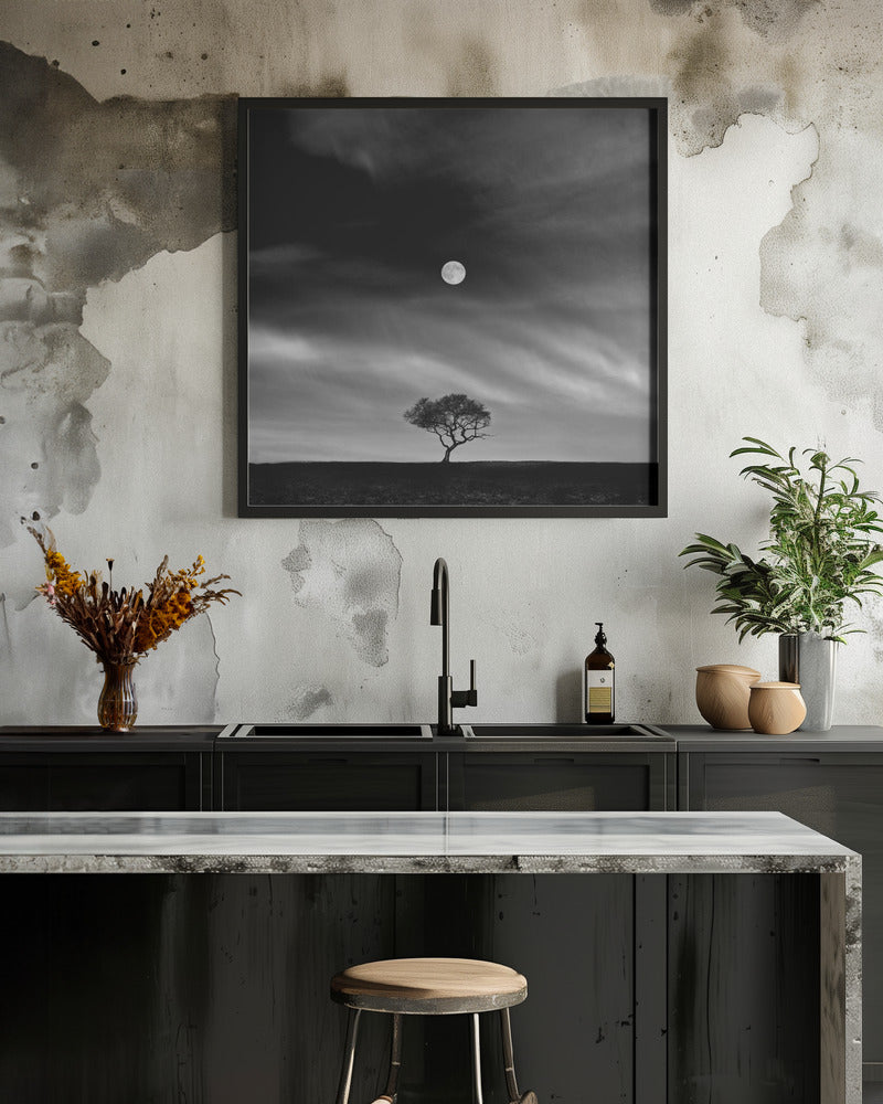 Stories under the Moon (No.5)