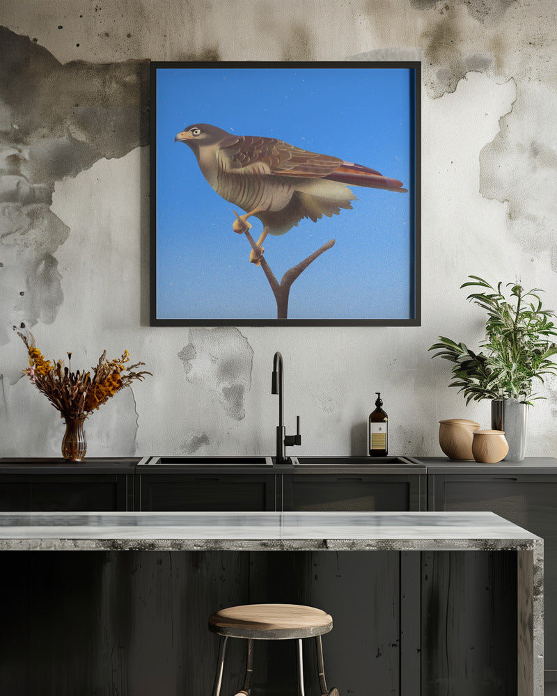 Canvas Art Print Hawk