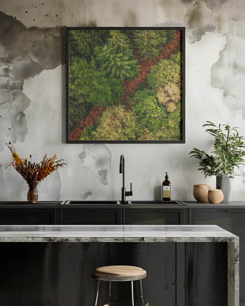 La route de la forêt