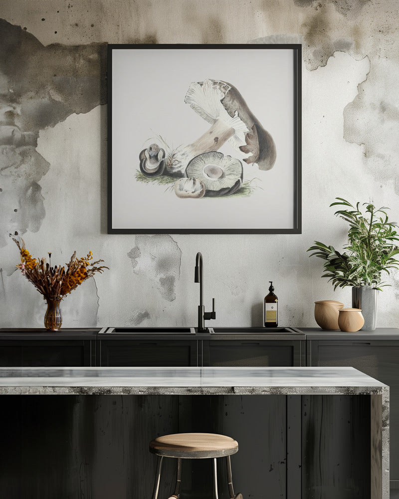 Vintage Agaricus Augustus Mushroom