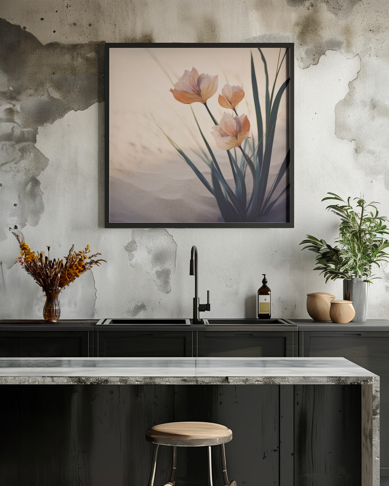 Desert Bloom Harmony