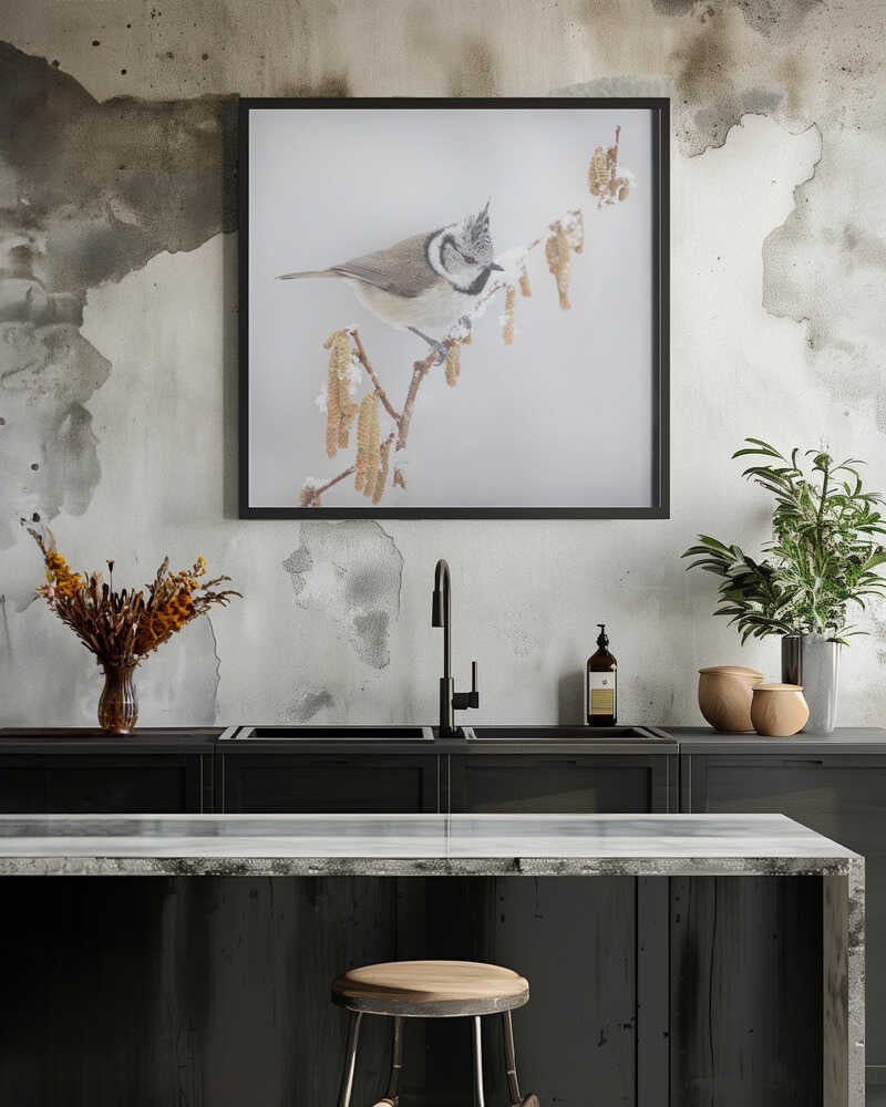 It is winter in Holland.