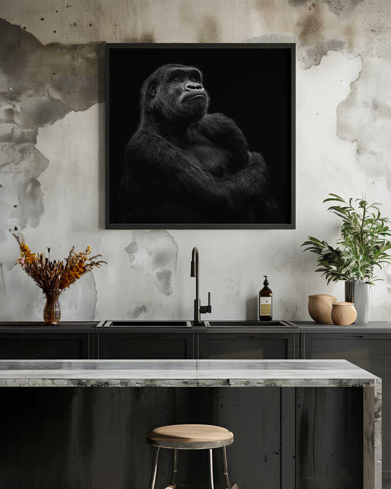 Gorilla
