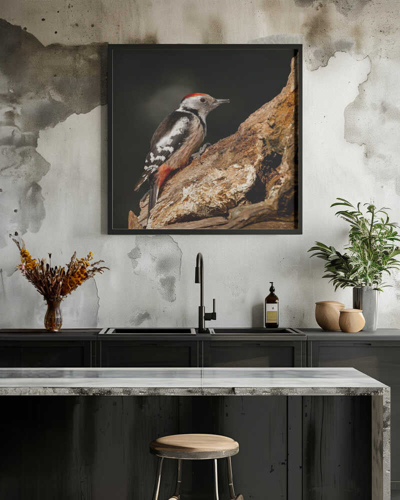 Woodpecker in autumn.