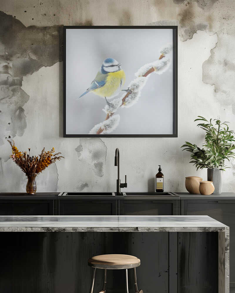 White, yellow and blue.