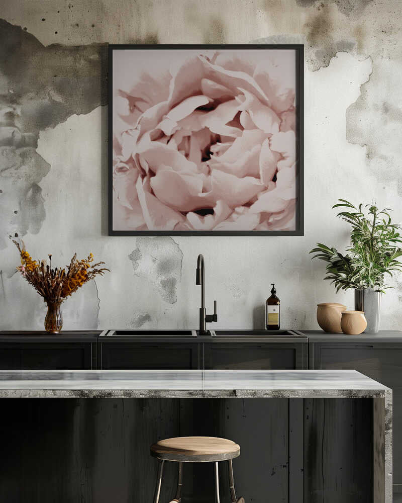 Delicate Peony Flower