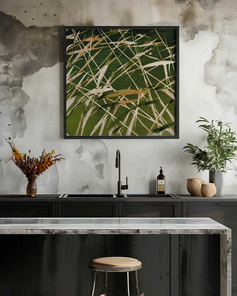 Dynamic Beauty of Nature