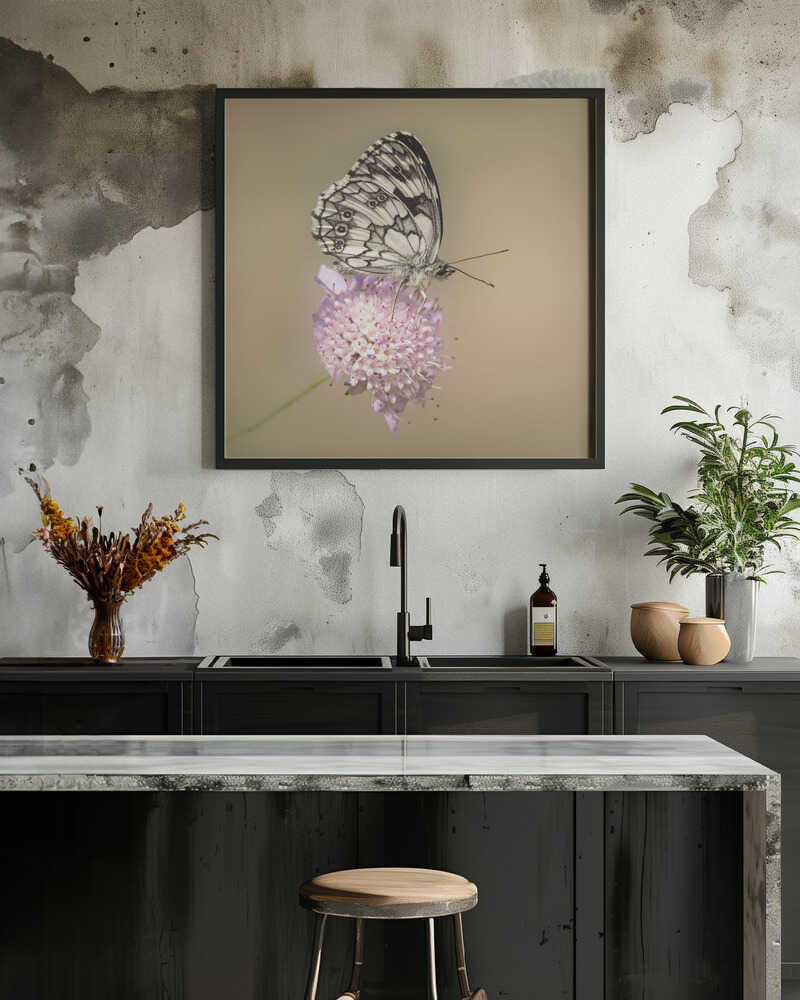 Beautiful butterfly.