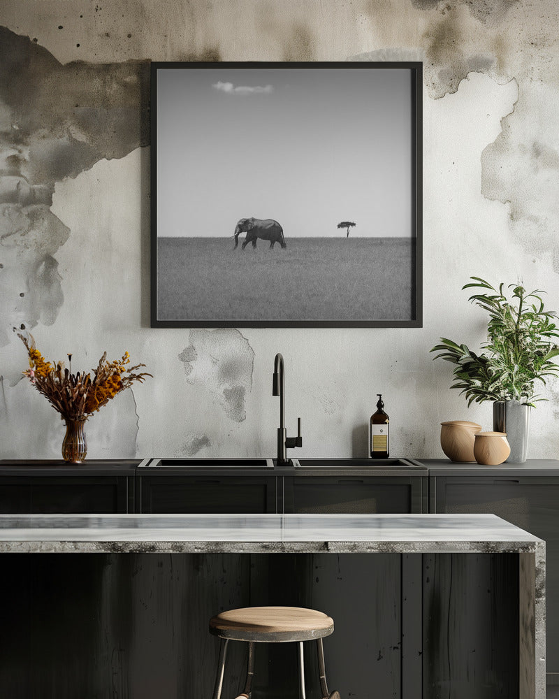 Elephant and the friendly cloud...