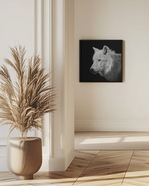 Art Prints of White Wolf #2