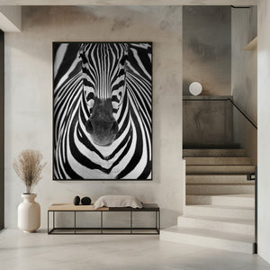 Art Prints of ZEBRA
